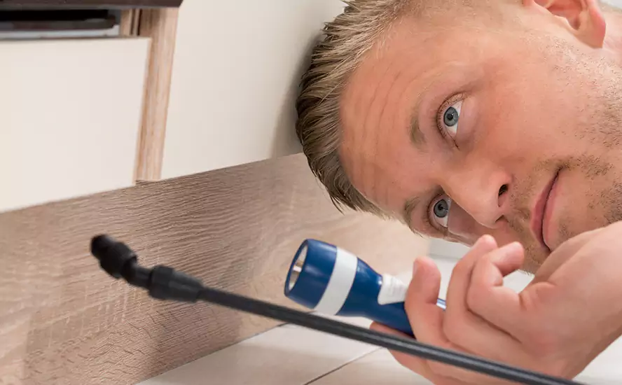 Top-Notch Pest Control in McKinney