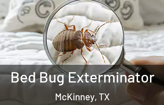  Bed Bug Exterminator McKinney, TX