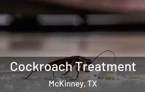  Cockroach Treatment McKinney, TX