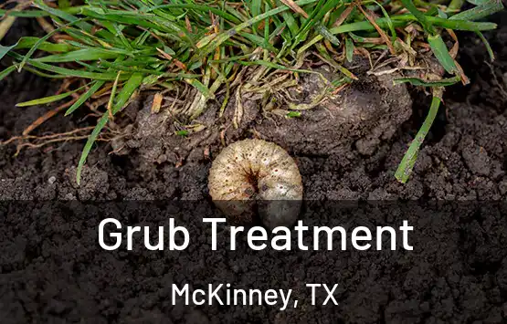  Grub Treatment McKinney, TX