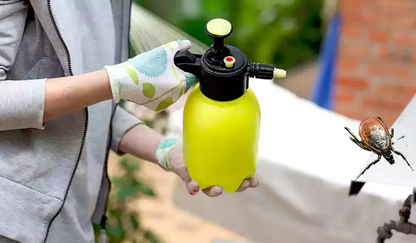 Ticks Pest Control McKinney, Texas