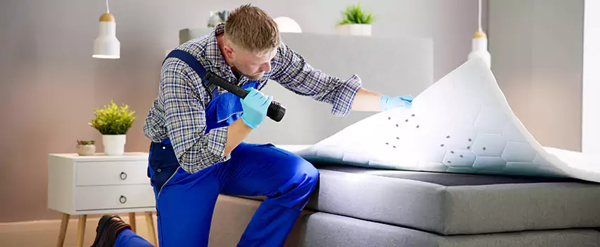 bed-bug-treatment in McKinney, TX