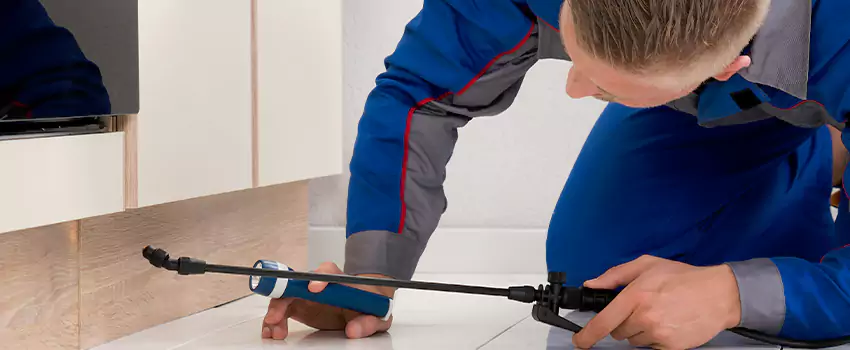 Ant Control for Bedrooms in McKinney, TX