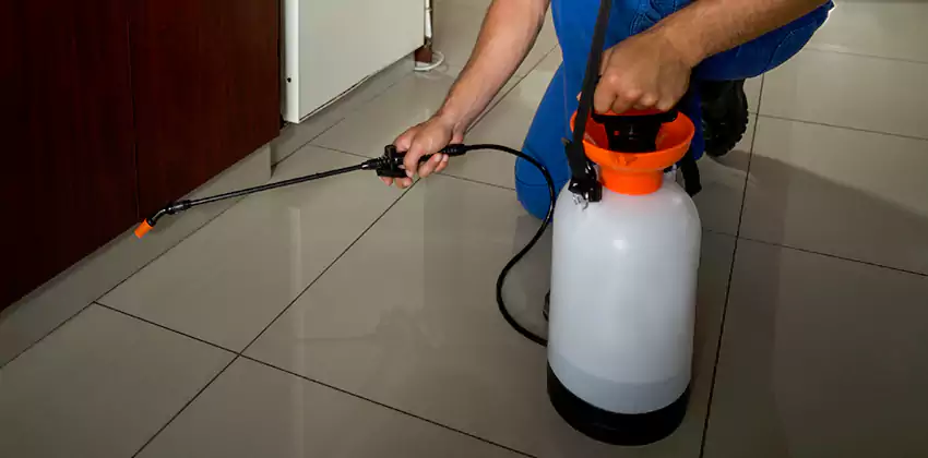 Commercial Pest Extermination for Offices in McKinney, TX