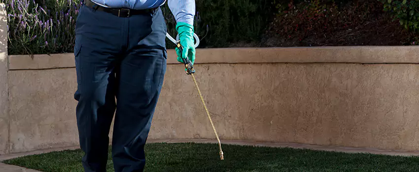 Emergency Pest Extermination for Children and Pets McKinney, TX