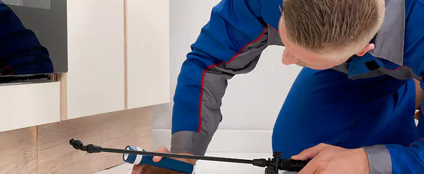 Termite Control for Children and Pets in McKinney, TX