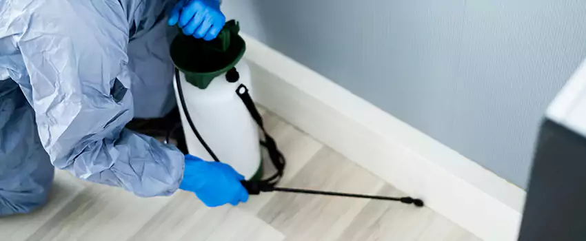 cockroach-exterminator in McKinney, TX