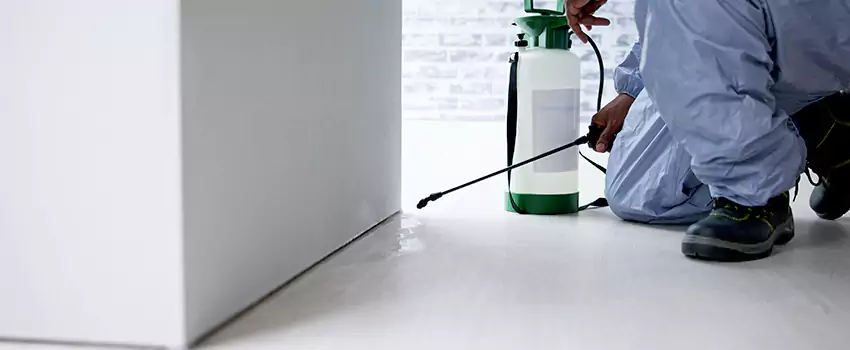 commercial-pest-control in McKinney, TX