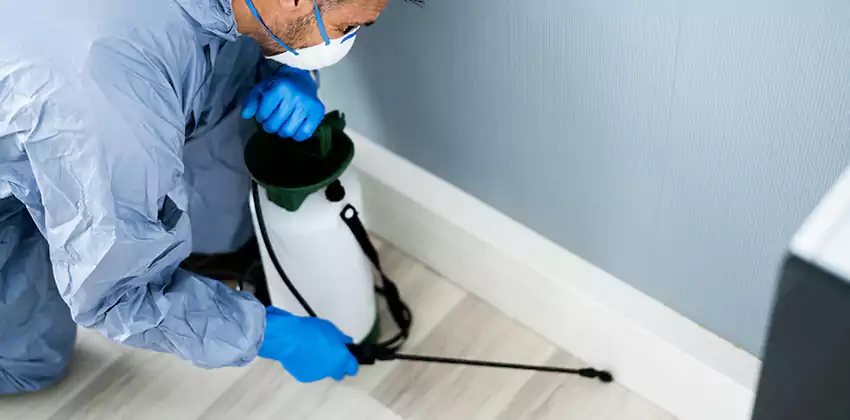 commercial-pest-exterminator in McKinney, TX