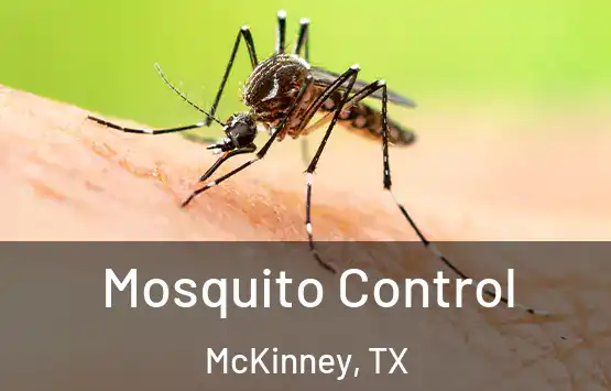  Mosquito Control McKinney, TX