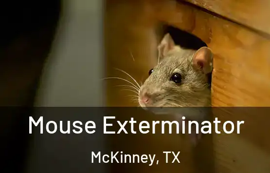  Mouse Exterminator McKinney, TX