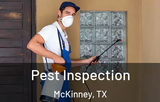  Pest Inspection McKinney, TX