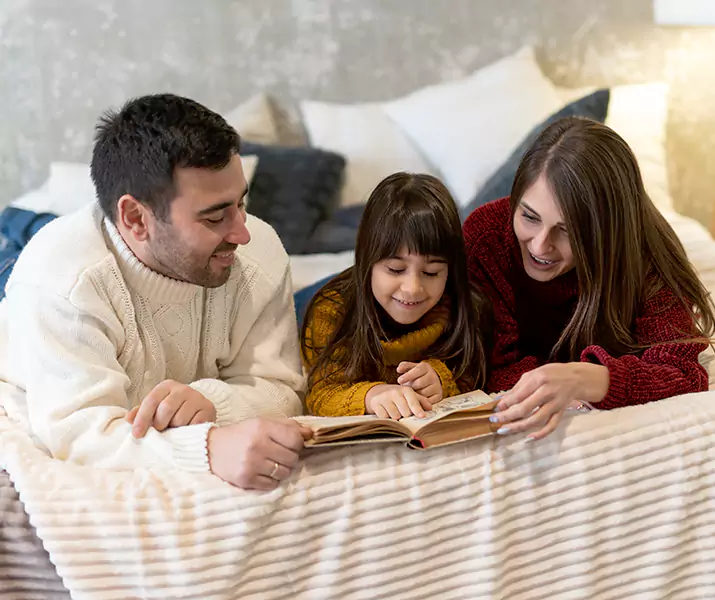 About Bed Bug Pest Control McKinney