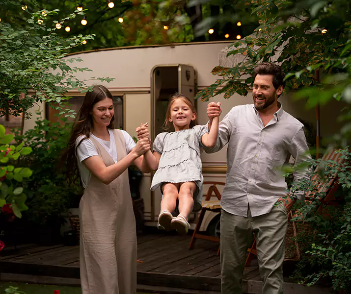 About Flea Treatment McKinney