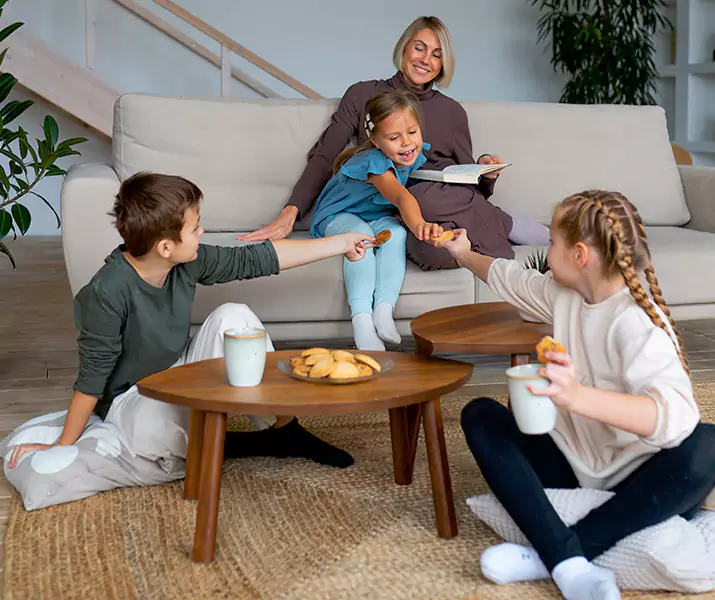 About Spider Exterminator McKinney