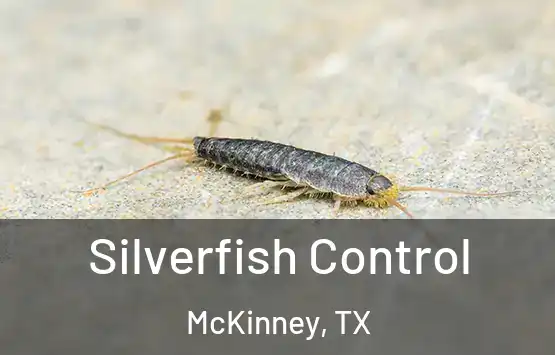  Silverfish Control McKinney, TX