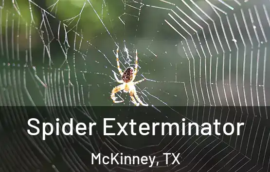  Spider Exterminator McKinney, TX