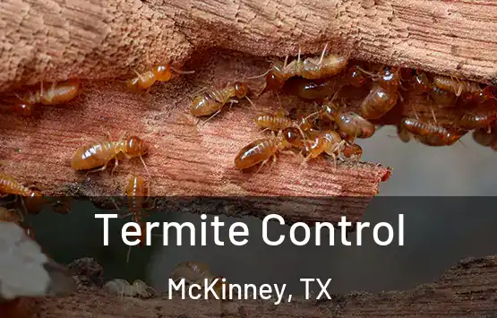  Termite Control McKinney, TX