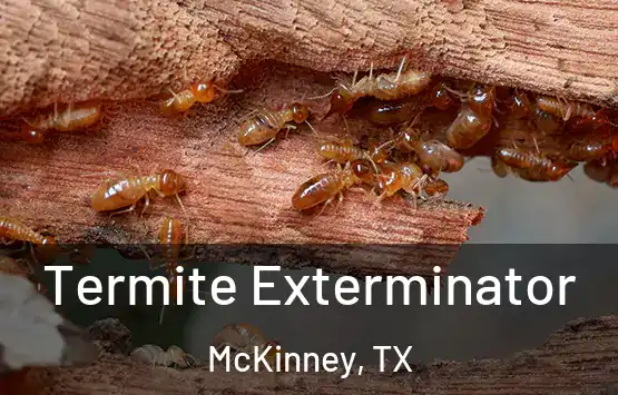  Termite Exterminator McKinney, TX