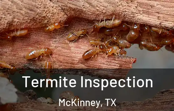  Termite Inspection McKinney, TX