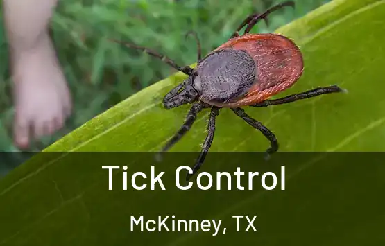  Tick Control McKinney, TX