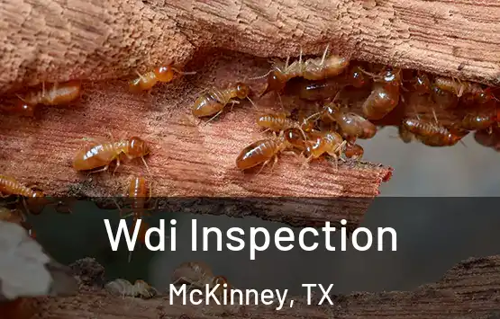  Wdi Inspection McKinney, TX